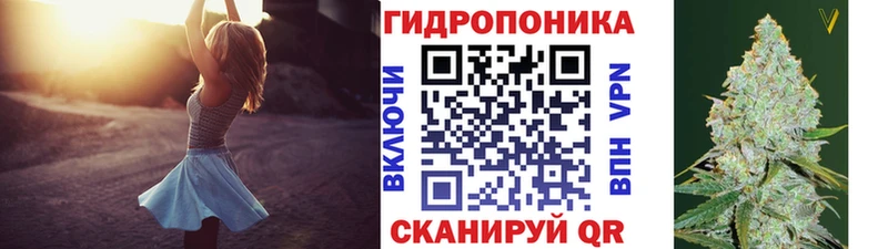 omg tor Дмитровск Бошки марихуана конопля